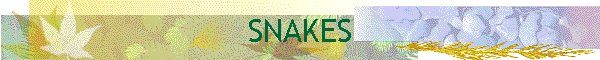 SNAKES